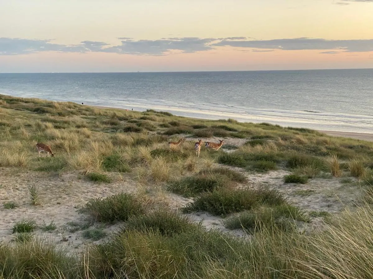 Zwarte Vis Apartment Zandvoort